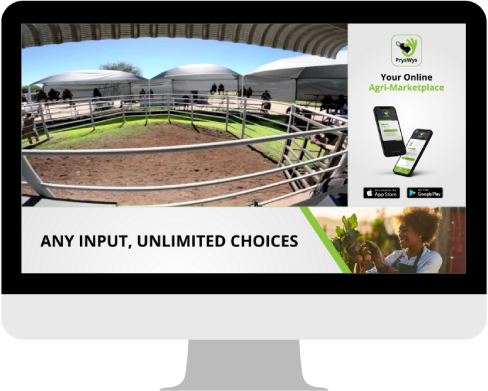 About Online Auction Advertising